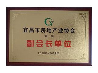 宜昌市房地产业协会 2018-2022年副会长单位